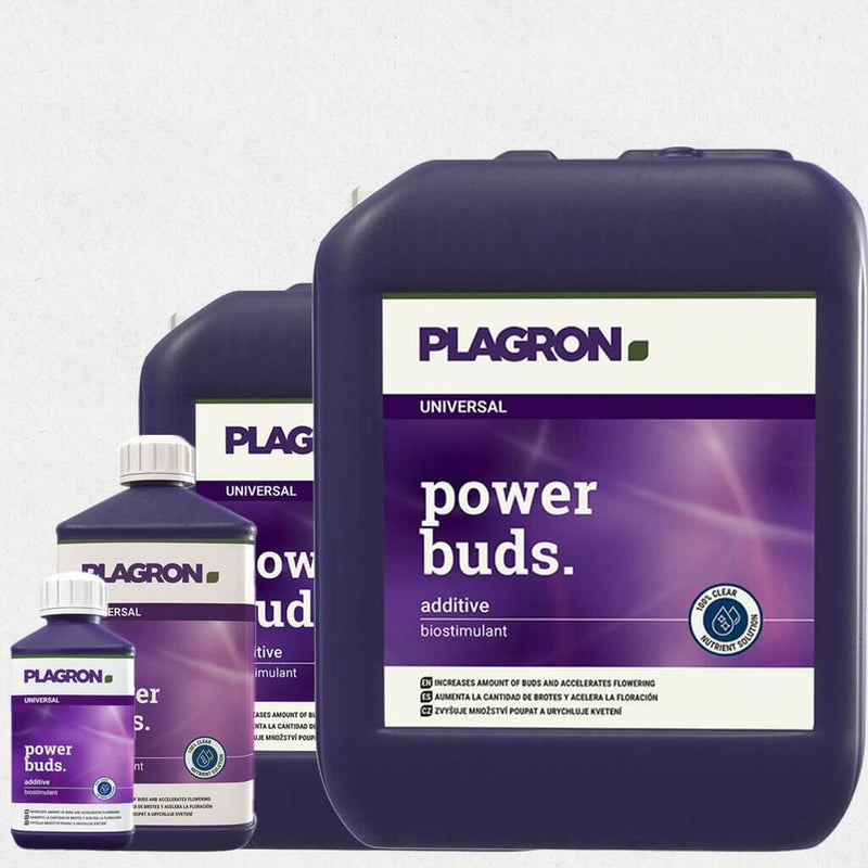 Plagron - Power Buds