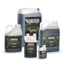 Intense Nutrients - Foundation