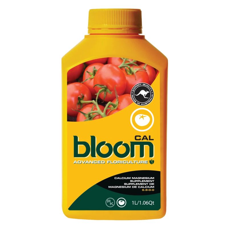 Bloom Yellow Bottles - Bloom Cal