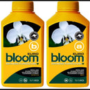 Bloom Yellow Bottles - Euro A&B