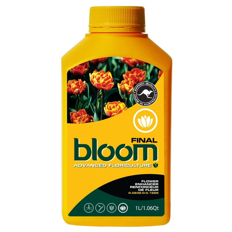 Bloom Yellow Bottles - Final