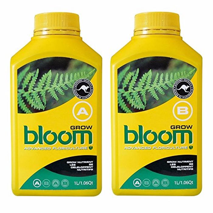 Bloom Yellow Bottles - Grow A&B