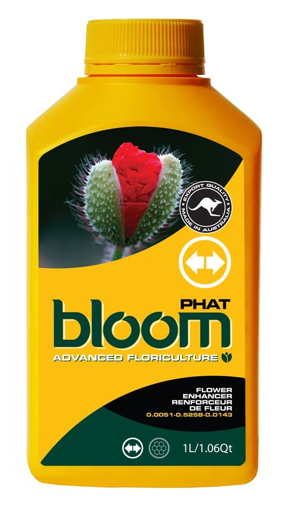 Bloom Yellow Bottles - Phat