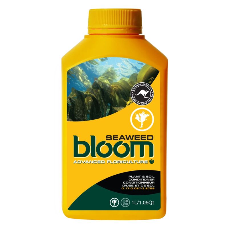 Bloom Yellow Bottles - Seaweed