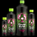 Buddhas Tree - Flower Burst