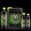 Buddhas Tree - Meta Boost