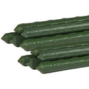 Plastic Coated Bamboo Canes 4ft/5ft/6ft