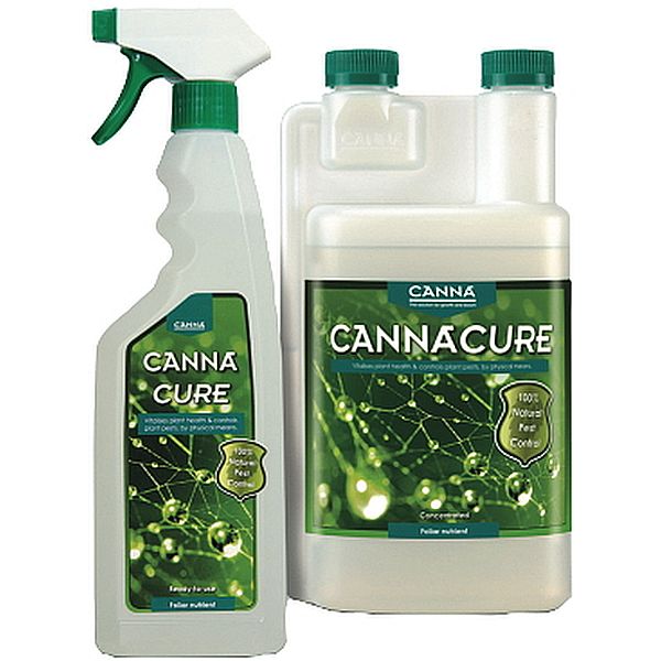 Canna - Cure