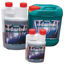 Canna - Rhizotonic