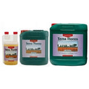 Canna - Terra Flores