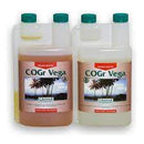 Canna - Cogr Vega
