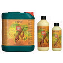 House & Garden - Bud Xl