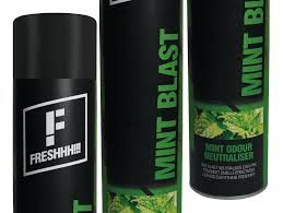 FRESHHH Air Freshener Sprayer 750ml